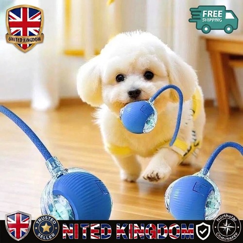 Smart interactive cat toy ball - interactive,