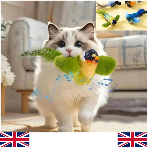Indoor interactive birds toy - indoor,