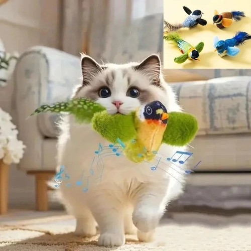 Interactive cat toy - toy, electric