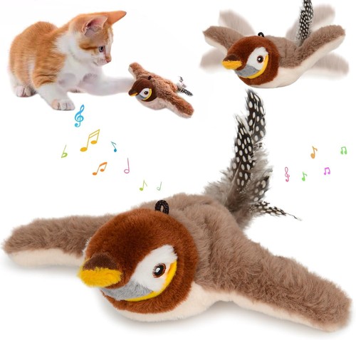 Flapping bird cat - bird,