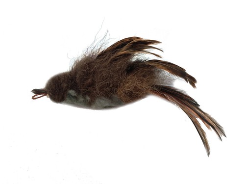 Buffalo sparrow bird cat wand - bird,
