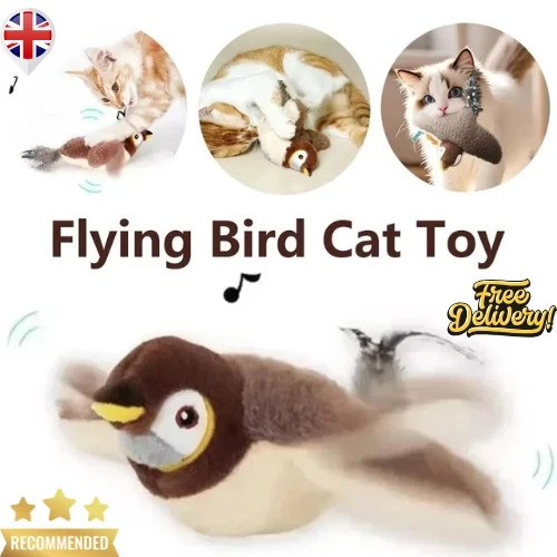 Vivid chirping flying bird cat - vivid,