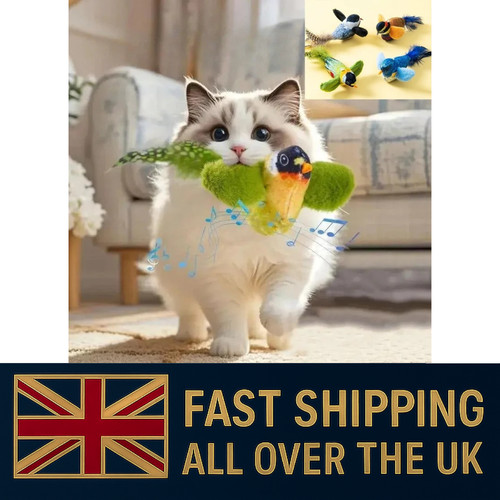 Interactive hanging bird cat - interactive,