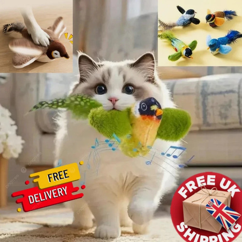 Interactive hanging bird cat - hanging,