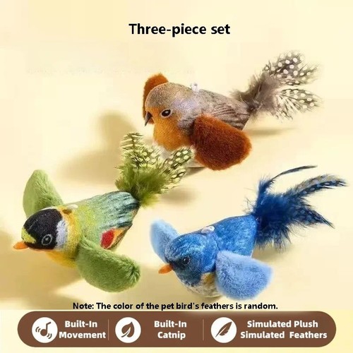 Vivid chirping flying bird cat - flying,
