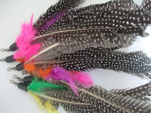 Cat toy feather - cat,