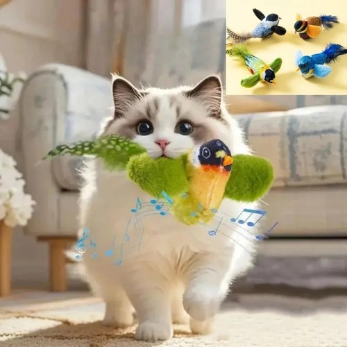 Indoor interactive birds - indoor,