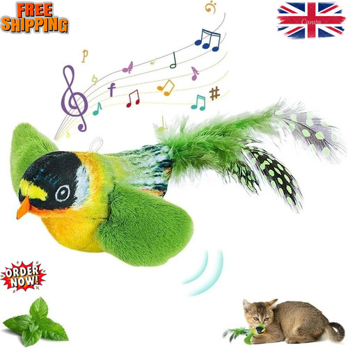 Vivid chirping flying - chirping, cat