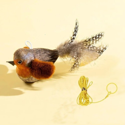 Vivid chirping flying - flying, bird