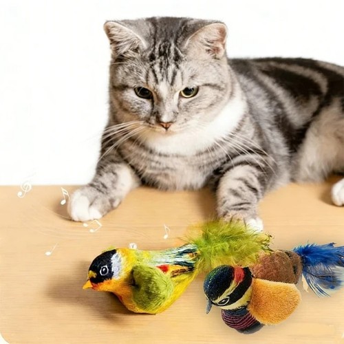 Indoor interactive birds - indoor,