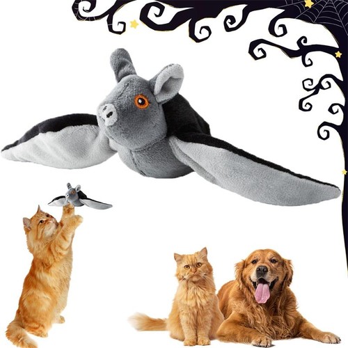 Cat toys flapping wings - toys, cute