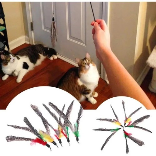 5pcs handmade natural feather - 5pcs,