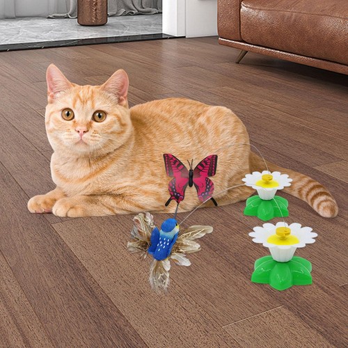 Electric bird teasing - cat, toys