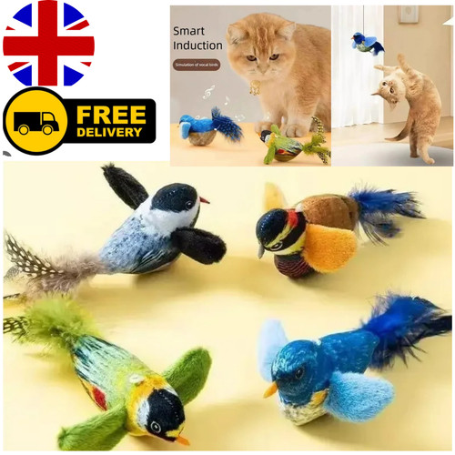 Interactive hanging bird cat - interactive,