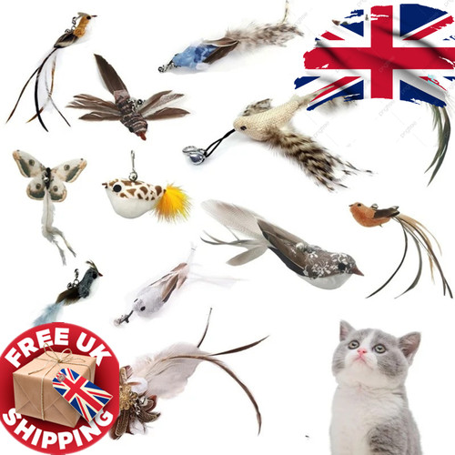 1pcs funny bird feather - 1pcs,