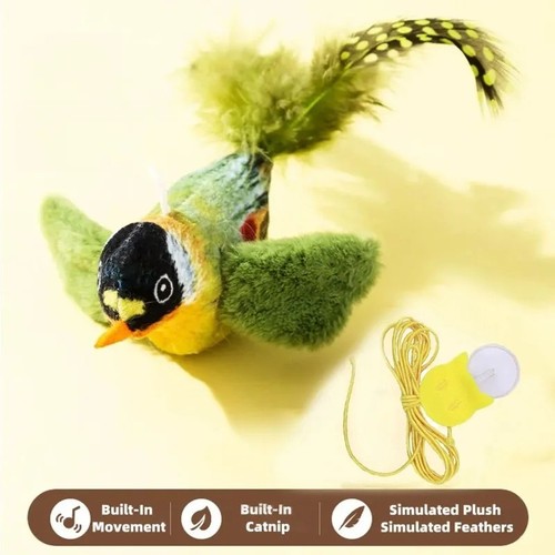 Vivid chirping flying bird cat - bird,