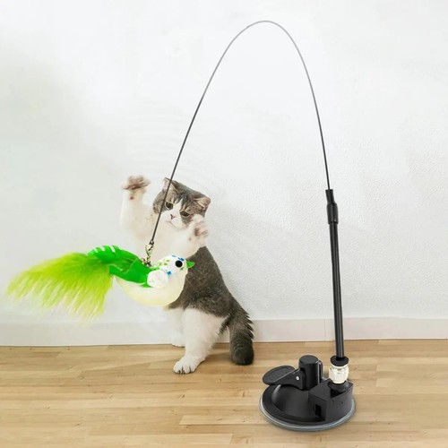 Interactive suction cup cat - interactive,