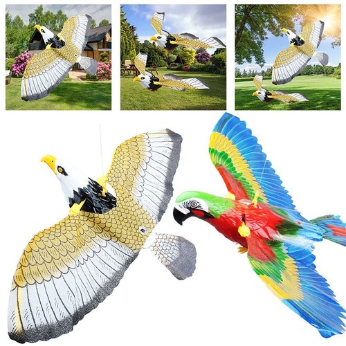 Funny hanging flying - funny, bird