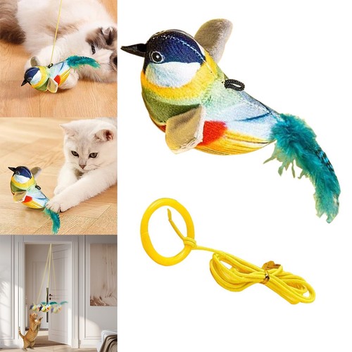 Cat toys hanging - cat,
