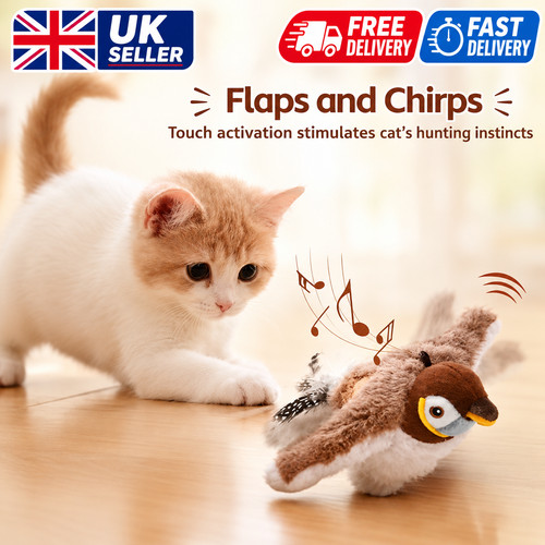 Interactive flapping bird cat - interactive,