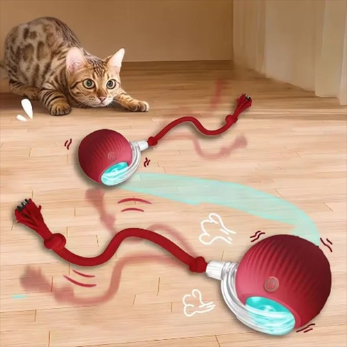 Interactive cat toy ball - cat,