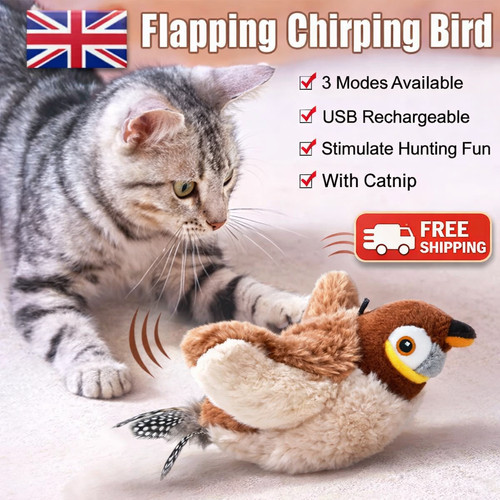 Interactive flapping bird cat - bird,