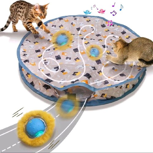 Cat interactive hide and - cat, seek