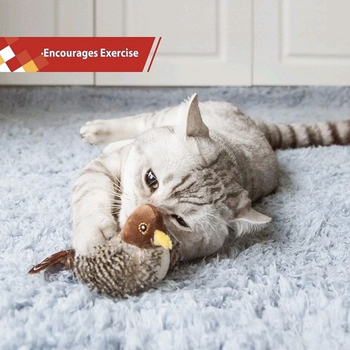 Gigwi chirping bird cat - gigwi,