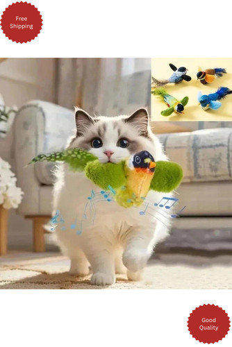 Interactive hanging bird - interactive, cat