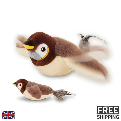 Interactive flying bird cat - interactive,