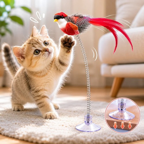 Cat teaser toy spring bird - toy,