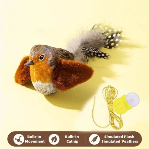 Vivid chirping flying bird cat - vivid,