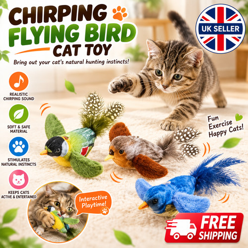 Vivid chirping flying bird - vivid, cat