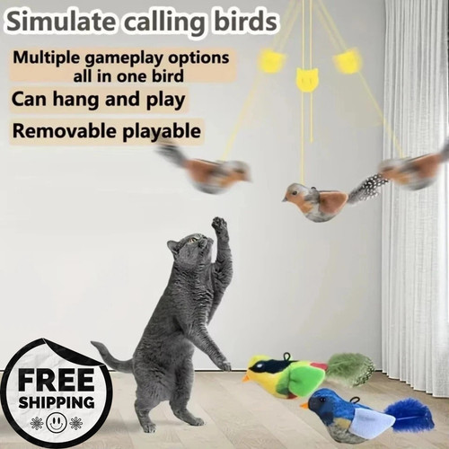 Vivid chirping flying bird cat - vivid,