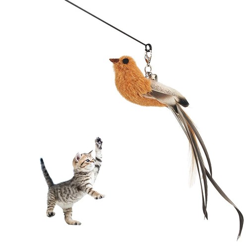 Cat toy feather - toy,