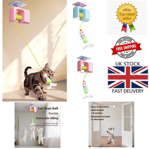 Interactive cat toy - cat,