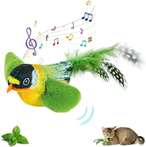 The pet cat - the, emulates
