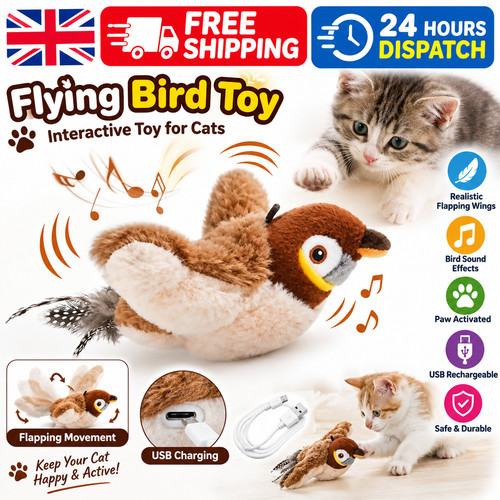 Electronic interactive flying - electronic,