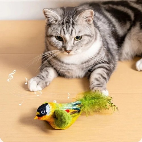 Interactive bird cat - interactive, toy