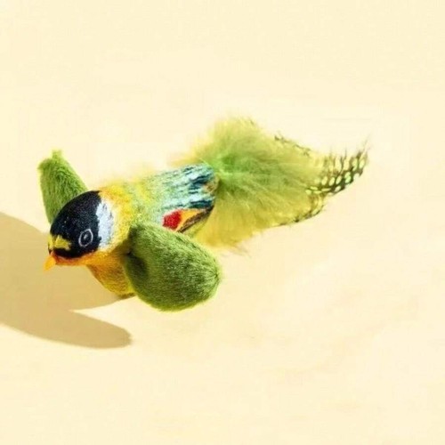Vivid chirping flying bird - chirping, cat