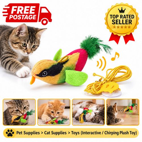 Interactive chirping bird cat - interactive,