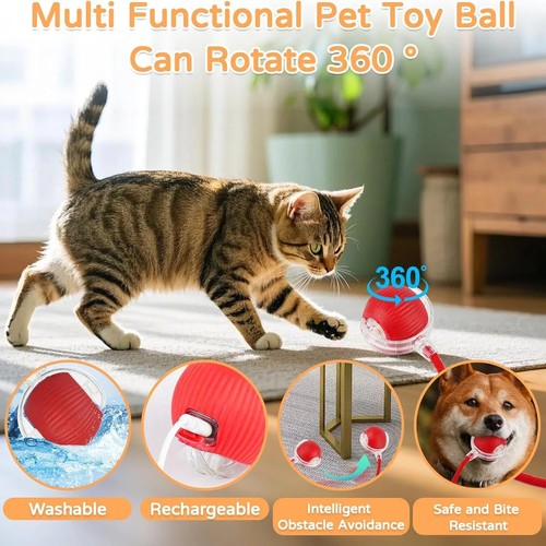 Pcs interactive dog balls - interactive,