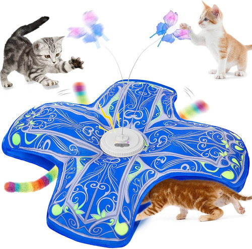 Interactive cat toys - cat,