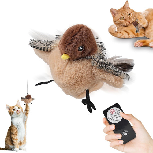 Flapping chirping bird - chirping,