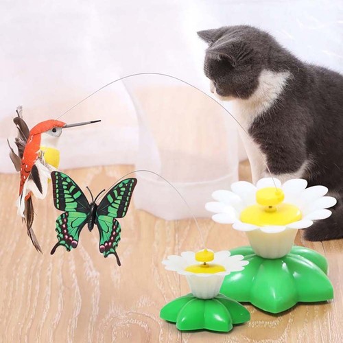 Fun pet electric rotating - pet,