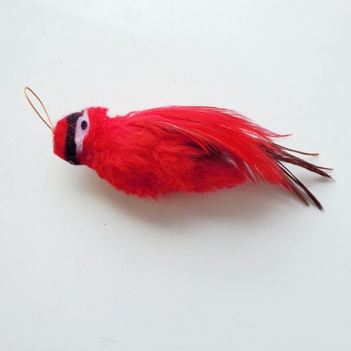 Charlie cardinal red bird - charlie,