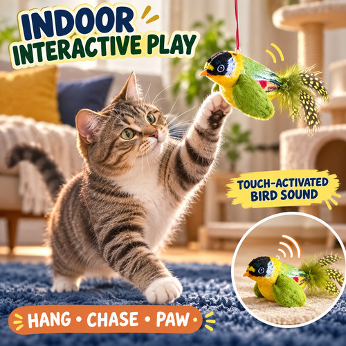 Vivid chirping flying bird cat - chirping,