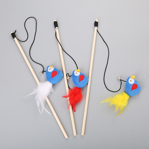 Cat kitten soft bird - (w026),