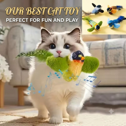 Interactive bird cat toy - interactive,