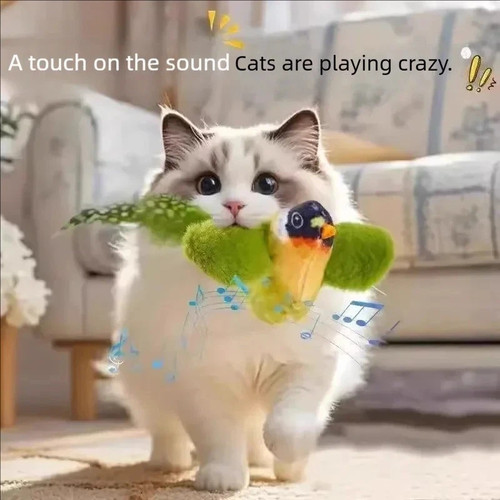 Interactive cat toy - interactive,